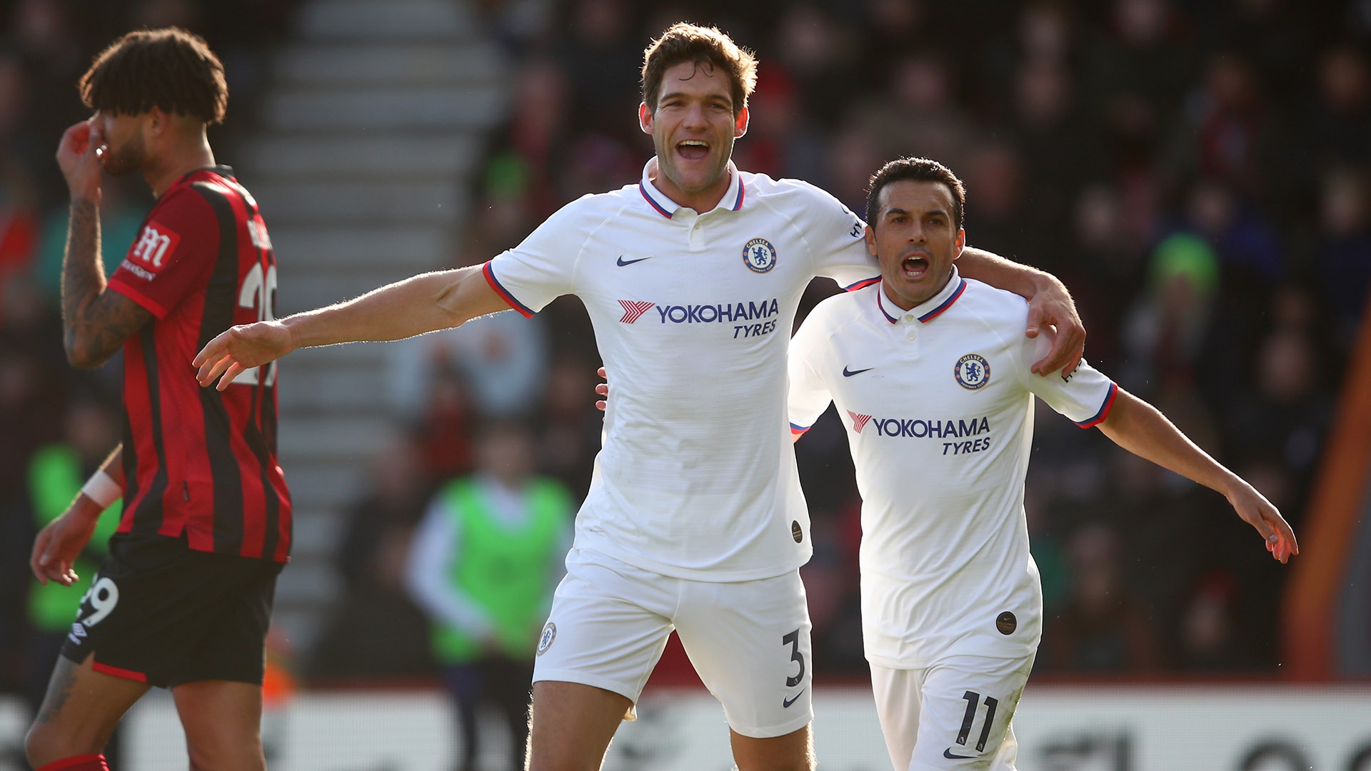 赛的一大亮 赛的一大亮